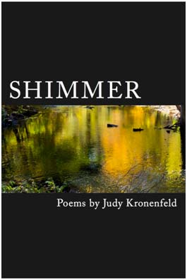 Shimmer by Judy Kronenfeld